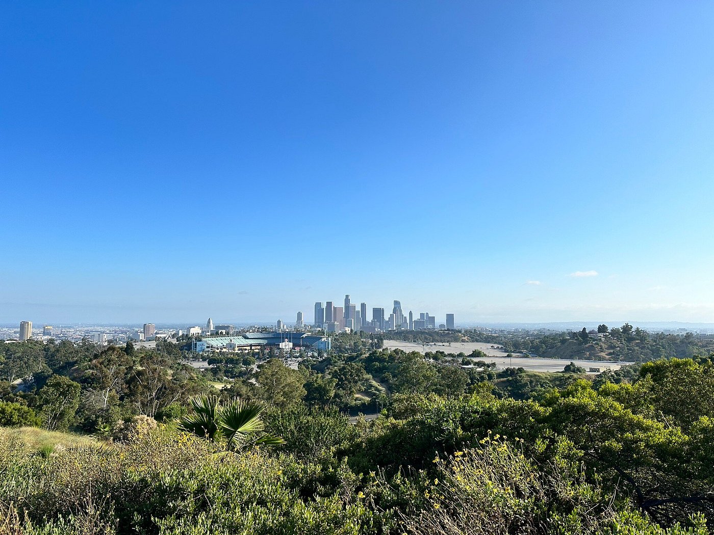 Elysian Park